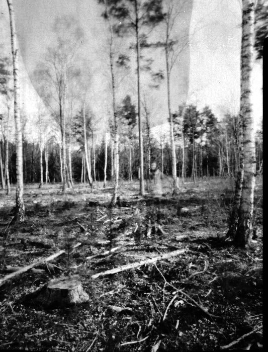 The Joy of Paper Negatives