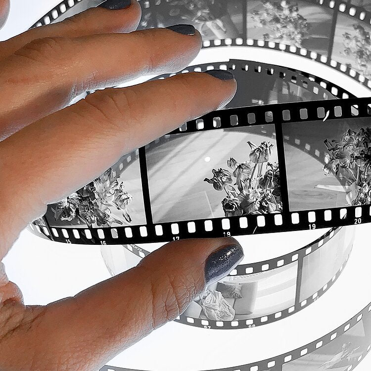Jagglé Film Reversal kit